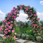 Thumbnail of post image 072